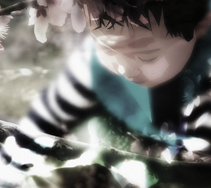 短信电话云轰炸